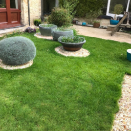 Techniques de taille pour maintenir un jardin esthétique et en bonne santé Orange